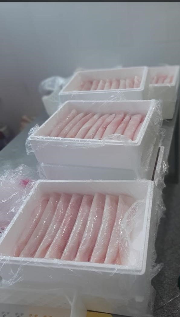 Atlantic Brotula Fish Mauritania Brotula fish Atlantic seafood Mauritania