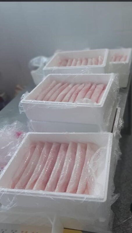 Brotula fish Atlantic seafood Mauritania