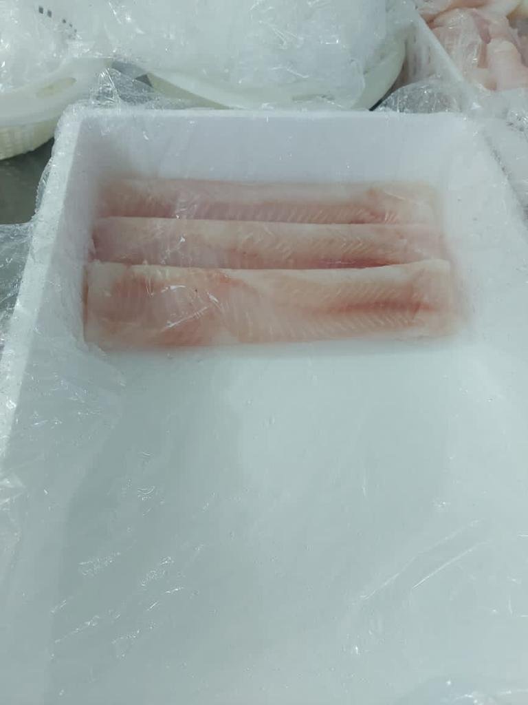 Atlantic Brotula Seafood Supplier Atlantic brotula fish supplier OceanF34