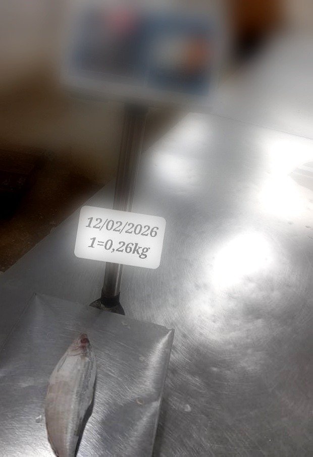 pro_WhatsApp Image 2026-03-19 at 04.55.01 (1)