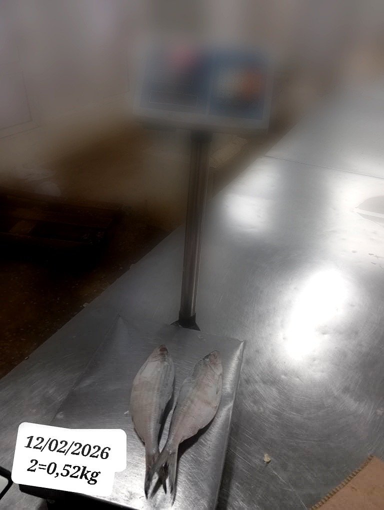 pro_WhatsApp Image 2026-03-19 at 04.55.01 (2)