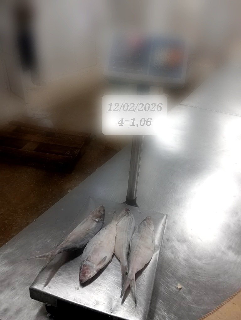 pro_WhatsApp Image 2026-03-19 at 04.55.01 (4)