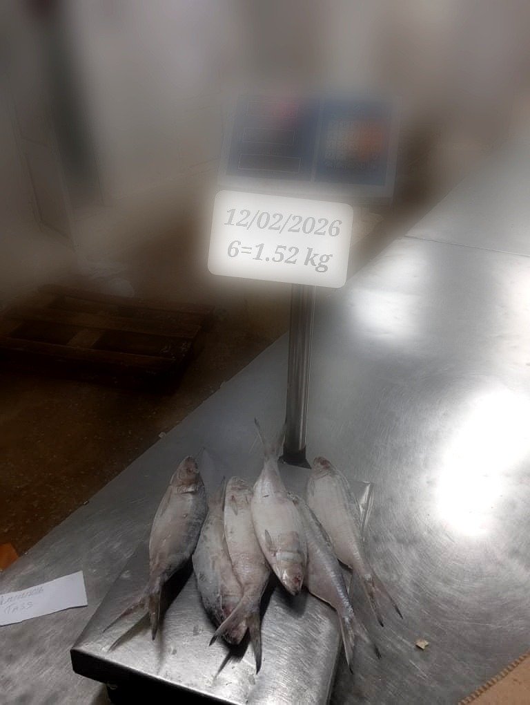 pro_WhatsApp Image 2026-03-19 at 04.55.02 (1)