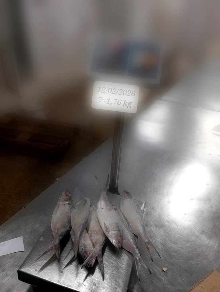 pro_WhatsApp Image 2026-03-19 at 04.55.02 (2)