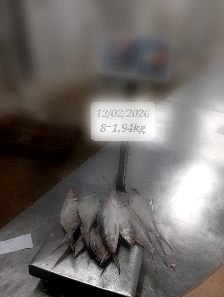 pro_WhatsApp Image 2026-03-19 at 04.55.02 (3)