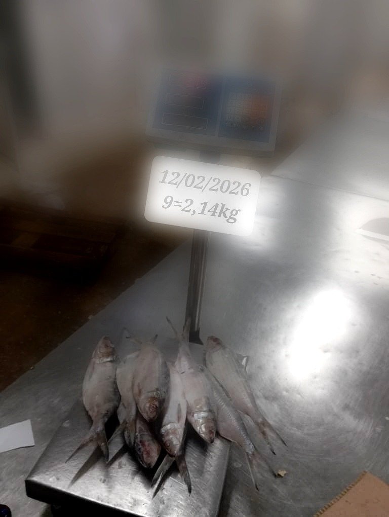 pro_WhatsApp Image 2026-03-19 at 04.55.02 (4)