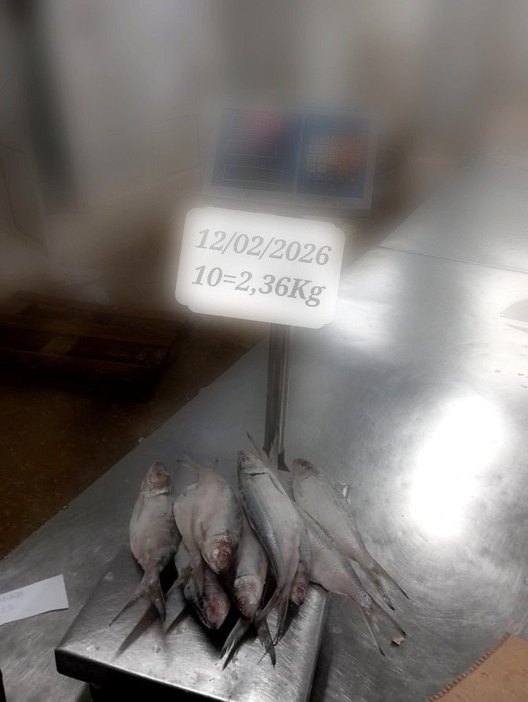 pro_WhatsApp Image 2026-03-19 at 04.55.02 (5)