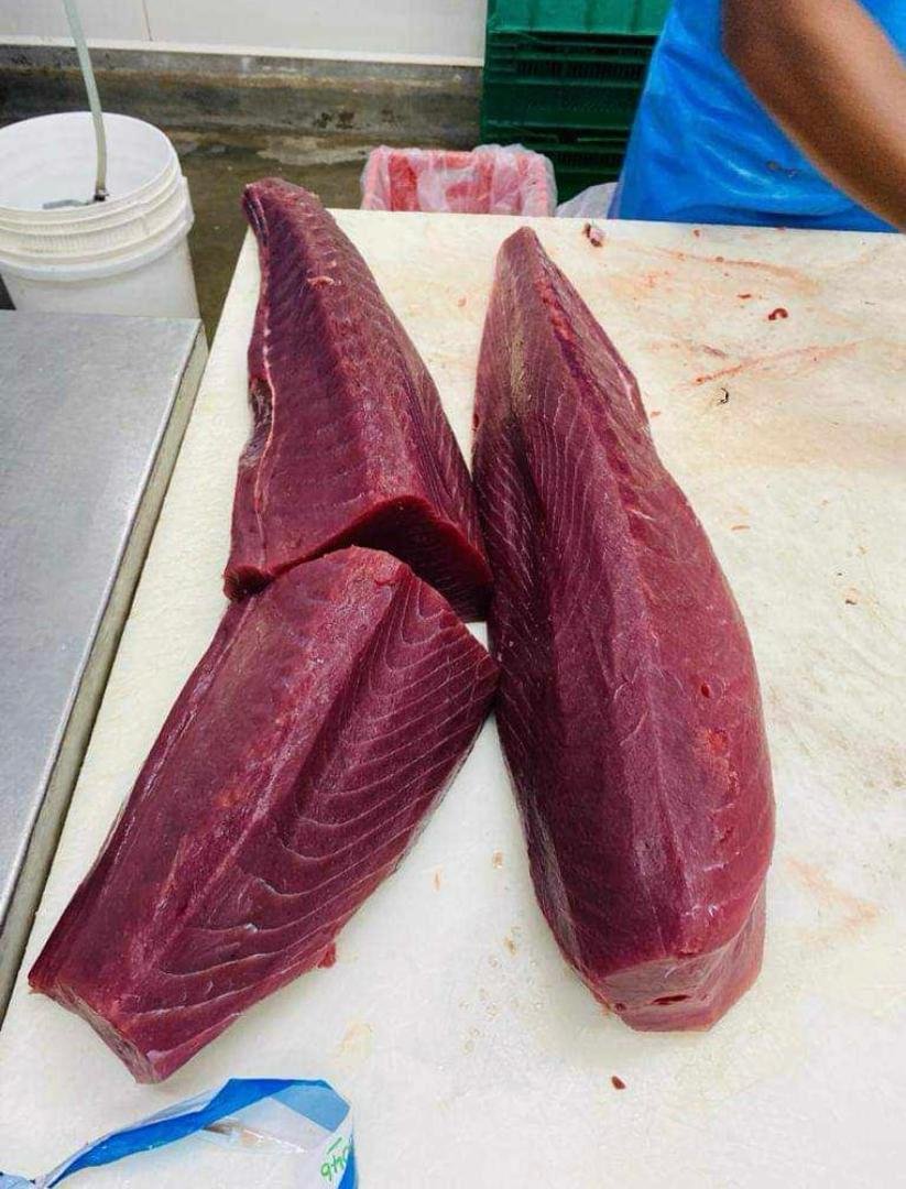 Atlantic Yellowfin Tuna Seafood Supplier Atlantic yellowfin tuna supplier OceanF34