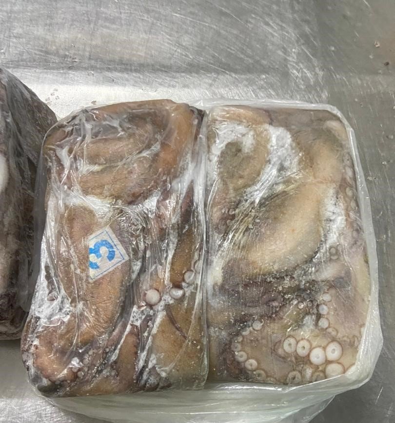 WhatsApp Image 2025-10-30 at 04.56.27