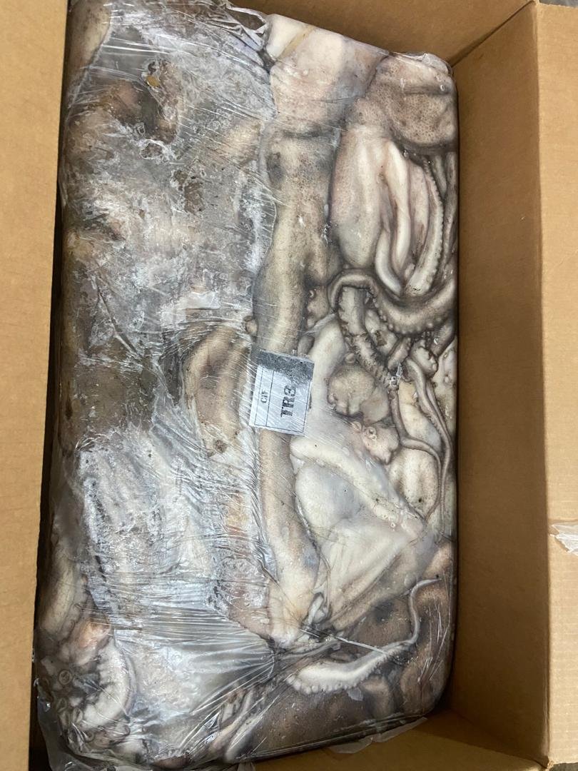 WhatsApp Image 2025-10-30 at 05.01.28 (1)