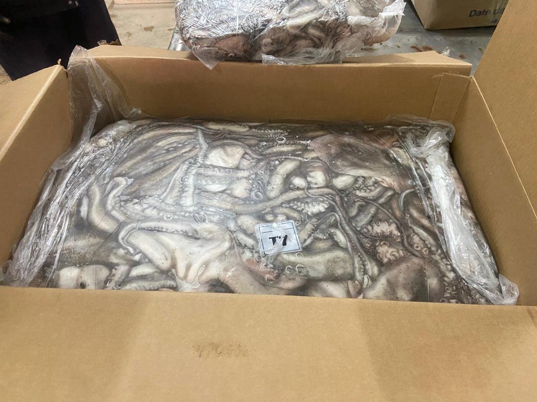 WhatsApp Image 2025-10-30 at 05.01.28