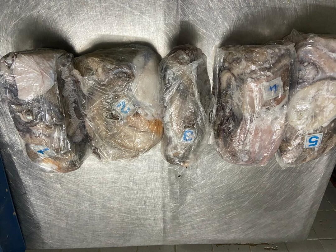 WhatsApp Image 2025-10-30 at 05.01.29 (1)