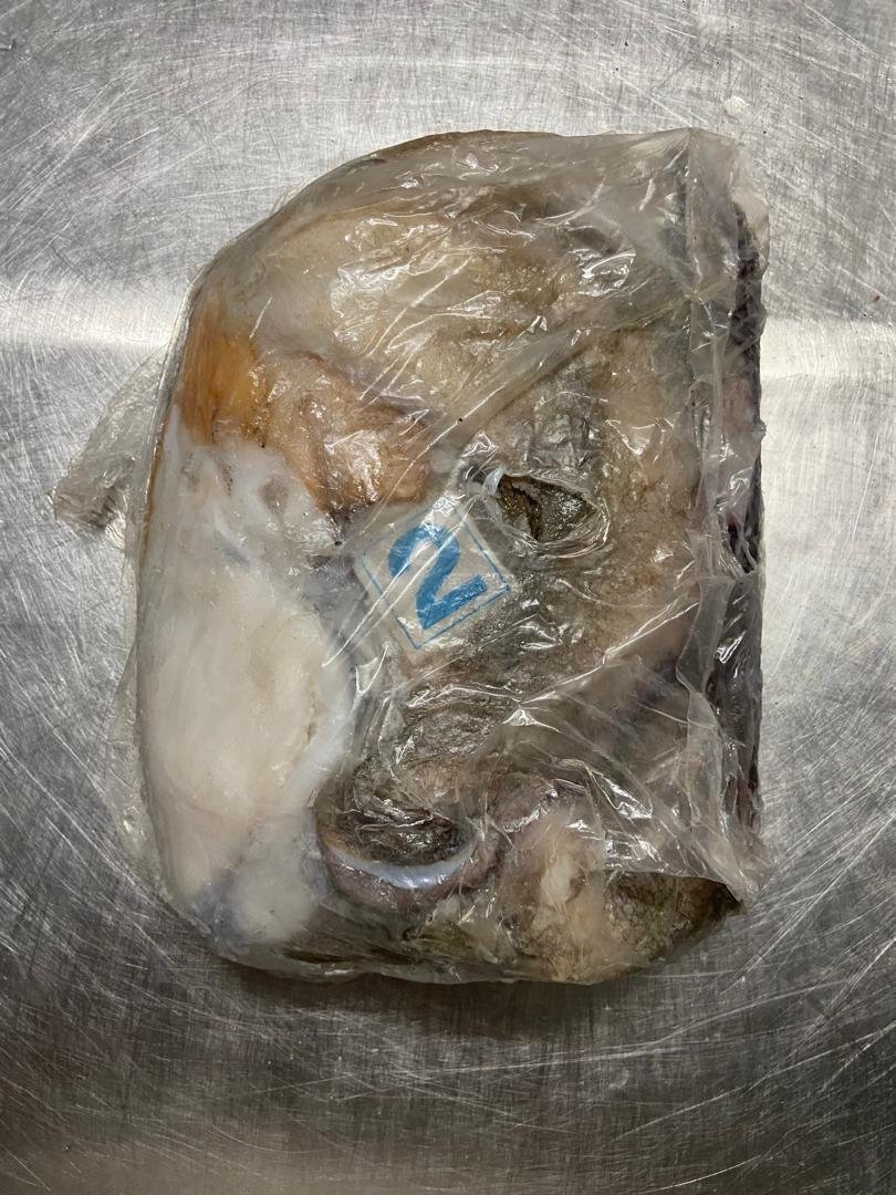 WhatsApp Image 2025-10-30 at 05.01.30 (1)