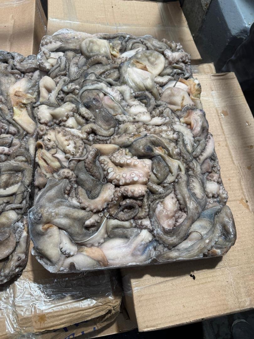 WhatsApp Image 2025-10-30 at 05.01.30 (3)