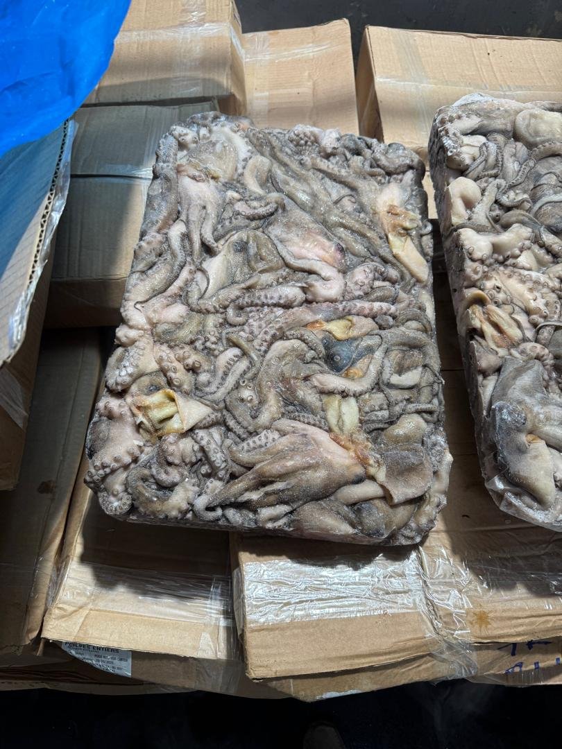 WhatsApp Image 2025-10-30 at 05.01.30 (4)