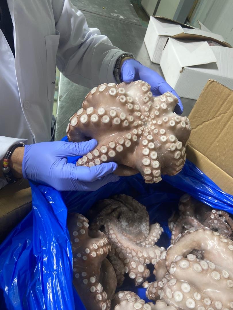 WhatsApp Image 2025-10-30 at 05.06.52 (1)