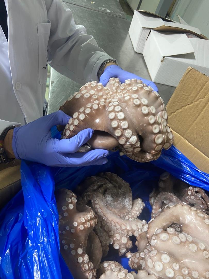 WhatsApp Image 2025-10-30 at 05.06.52 (2)