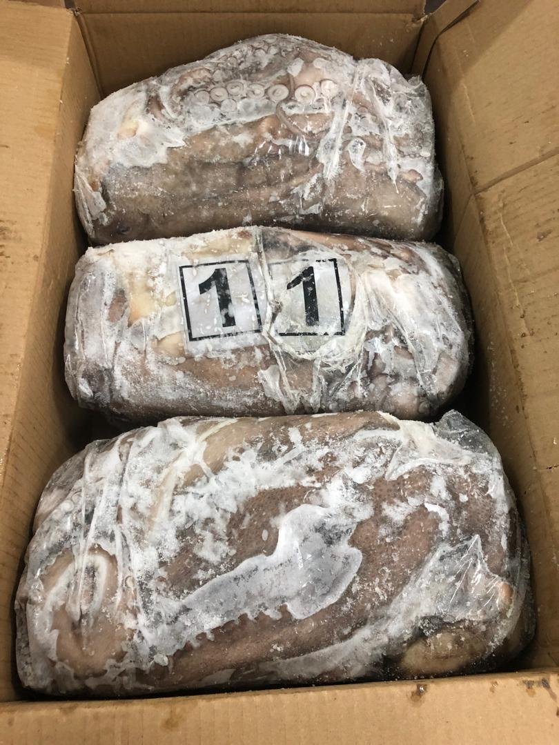 WhatsApp Image 2025-10-30 at 05.07.55