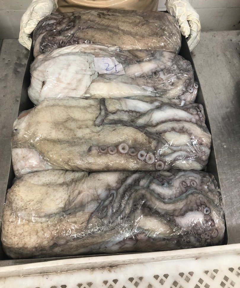 WhatsApp Image 2025-10-30 at 05.08.00 (1)