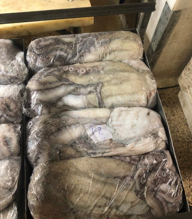 WhatsApp Image 2025-10-30 at 05.08.00 (2)