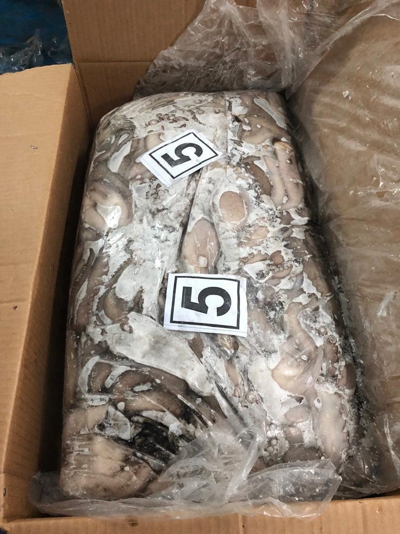 WhatsApp Image 2025-10-30 at 05.08.00