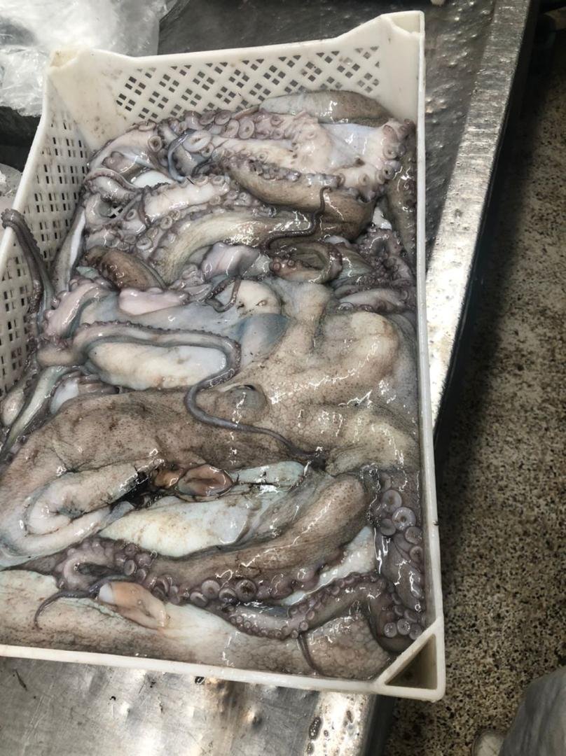 WhatsApp Image 2025-10-30 at 05.16.00 (1)