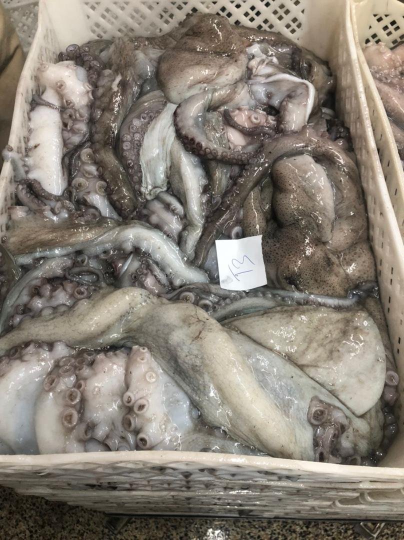 WhatsApp Image 2025-10-30 at 05.16.00 (2)