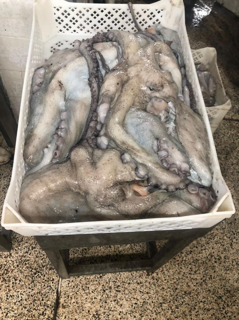 WhatsApp Image 2025-10-30 at 05.16.00 (3)