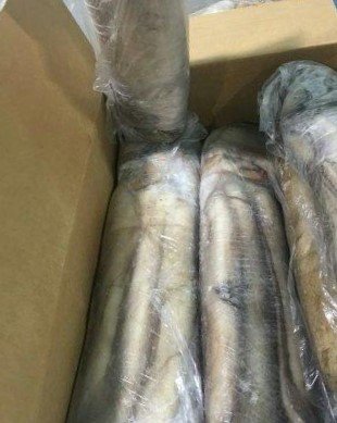 WhatsApp Image 2025-10-30 at 05.16.00 (4)