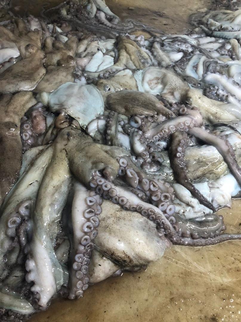 WhatsApp Image 2025-10-30 at 05.16.00