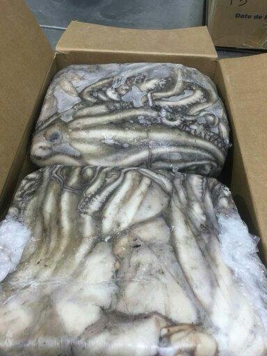 WhatsApp Image 2025-10-30 at 05.16.01 (1)