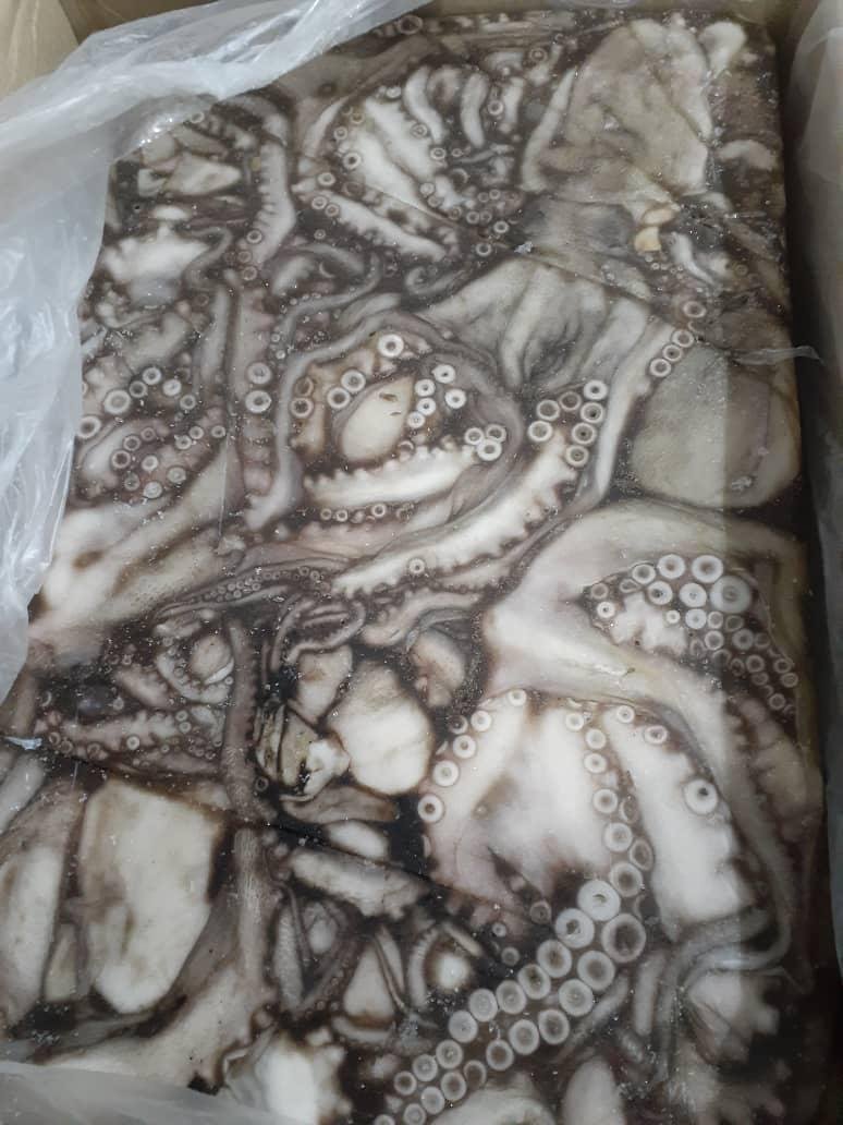 WhatsApp Image 2025-10-30 at 05.16.01 (2)