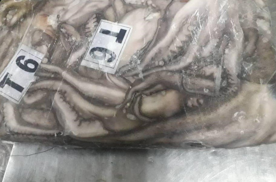 WhatsApp Image 2025-10-30 at 05.16.01 (3)