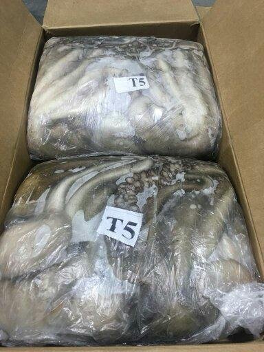 WhatsApp Image 2025-10-30 at 05.16.01