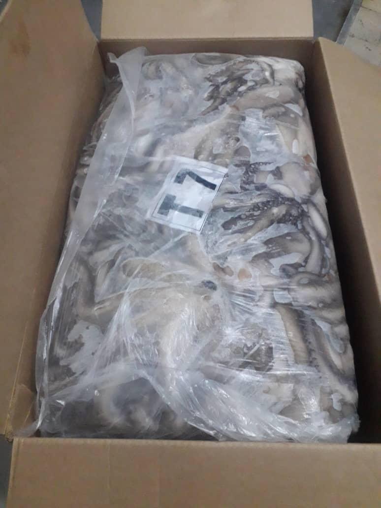 WhatsApp Image 2025-10-30 at 05.16.02 (1)