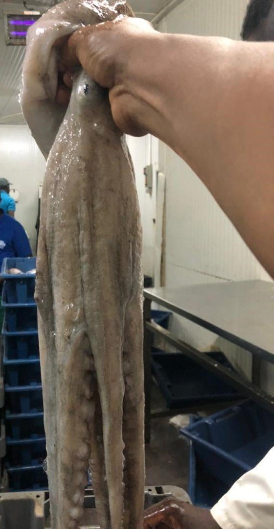 WhatsApp Image 2025-10-30 at 05.16.02 (2)