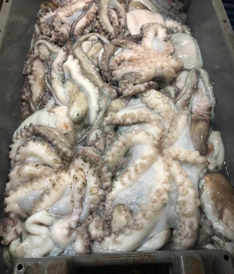 WhatsApp Image 2025-10-30 at 05.16.02 (4)