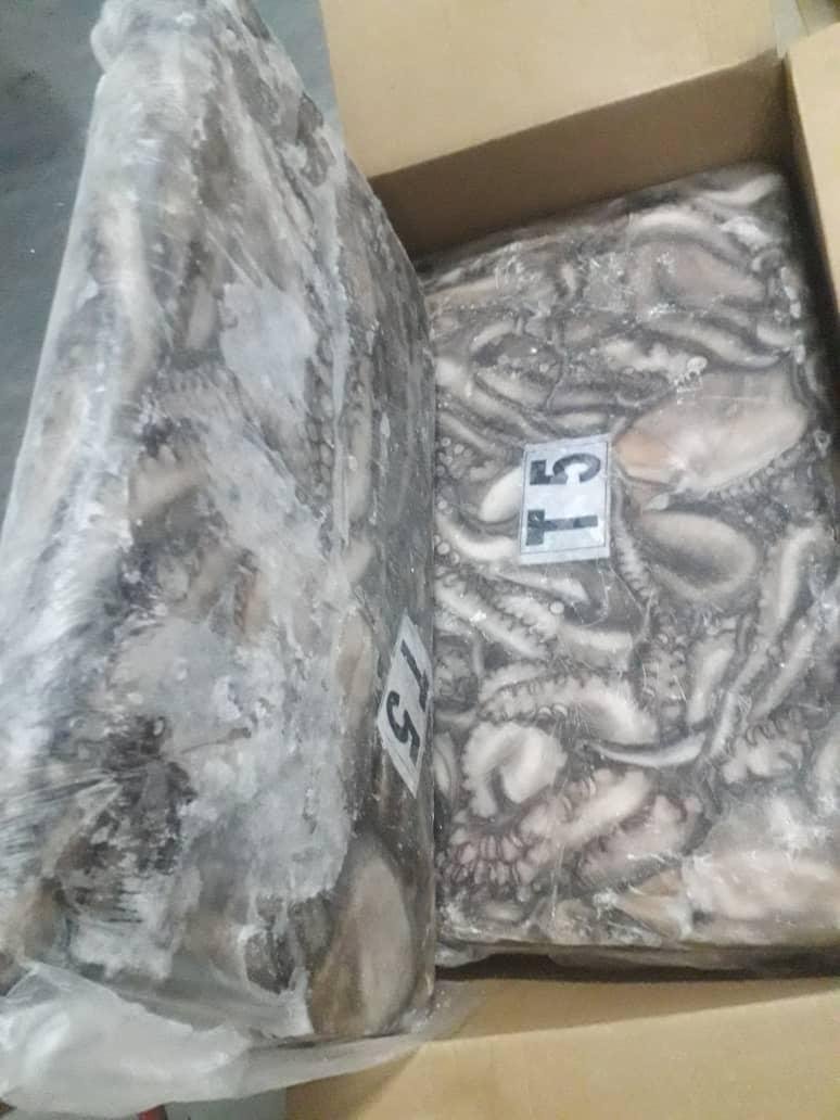 WhatsApp Image 2025-10-30 at 05.16.02