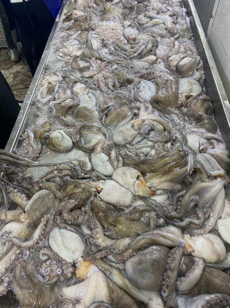 WhatsApp Image 2025-10-30 at 06.40.41