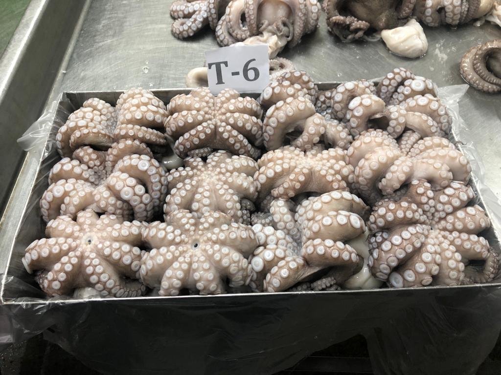 WhatsApp Image 2025-10-30 at 06.40.49 (4)