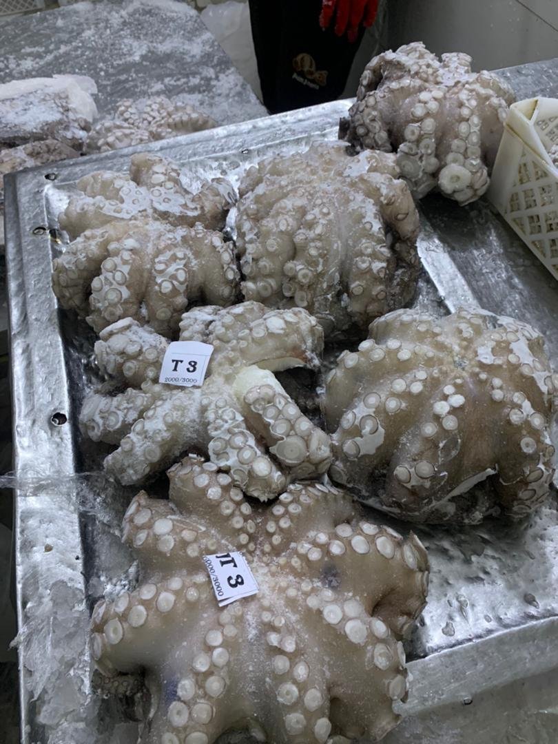 WhatsApp Image 2025-10-30 at 06.40.49 (5)