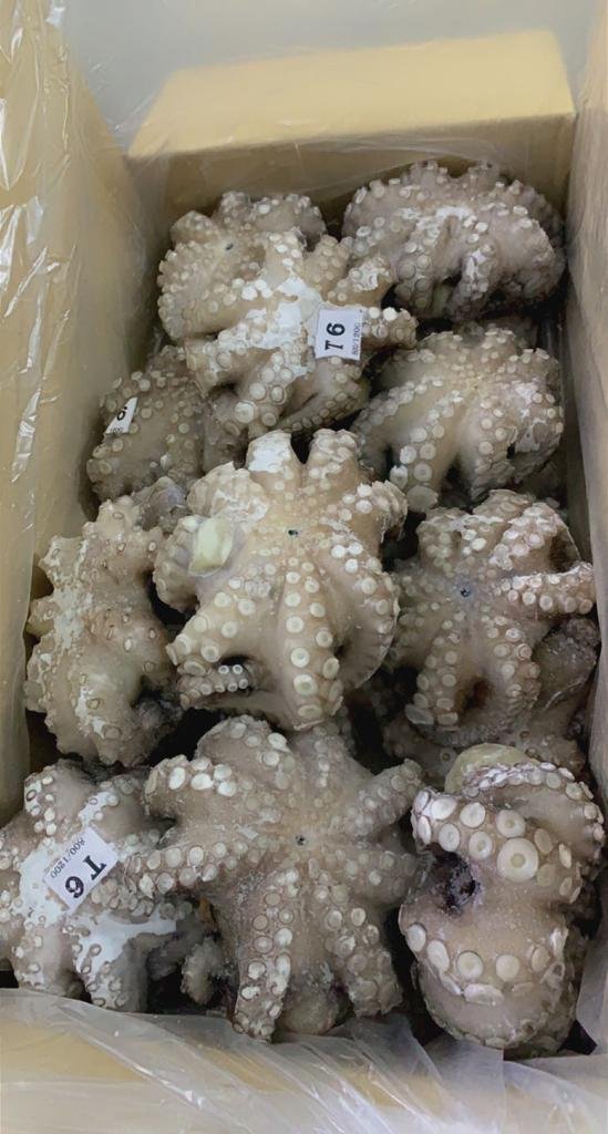 WhatsApp Image 2025-10-30 at 06.40.49 (6)