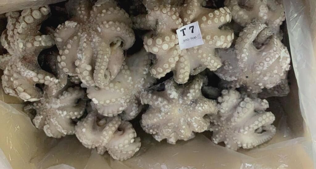 WhatsApp Image 2025-10-30 at 06.40.50