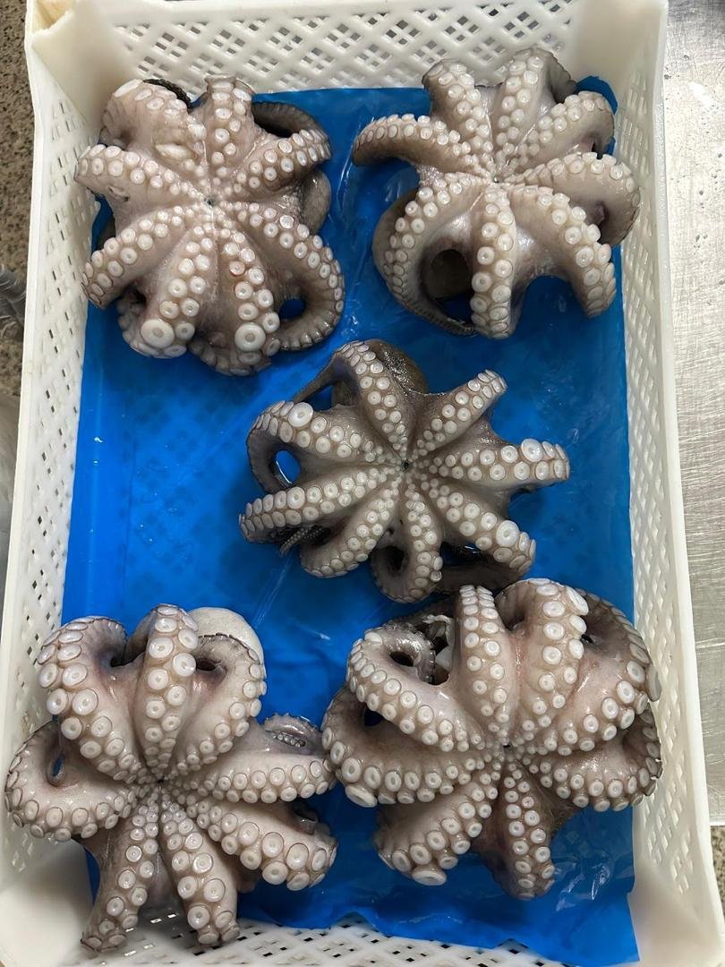 WhatsApp Image 2025-10-30 at 06.40.59 (4)