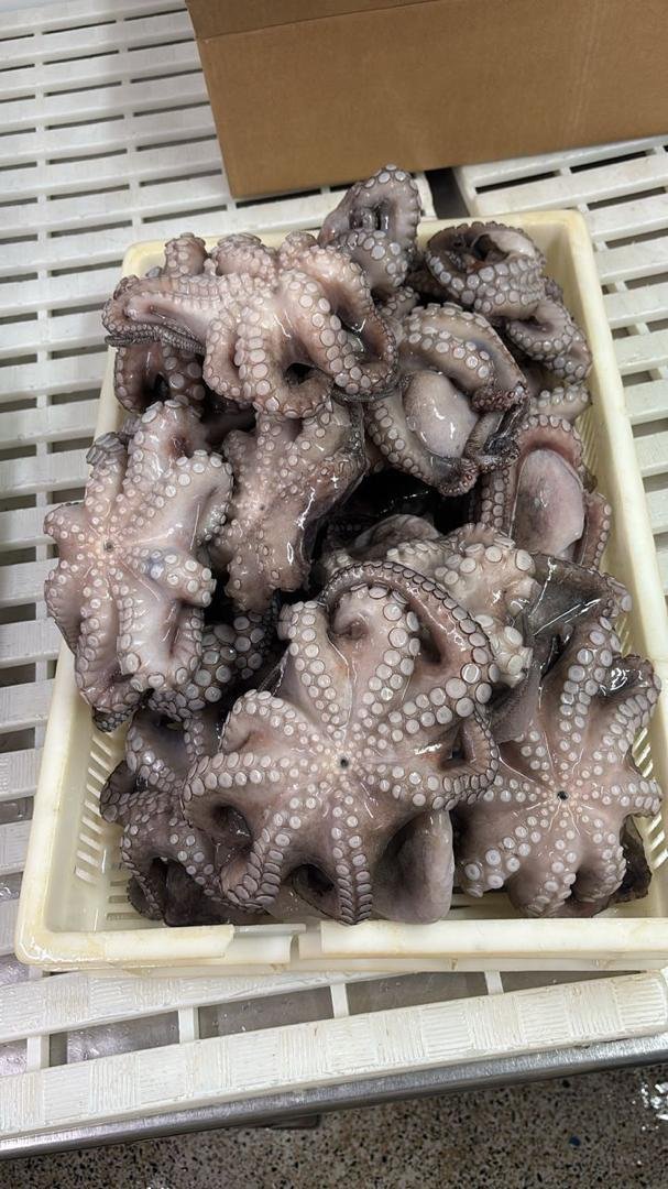 WhatsApp Image 2025-10-30 at 06.40.59